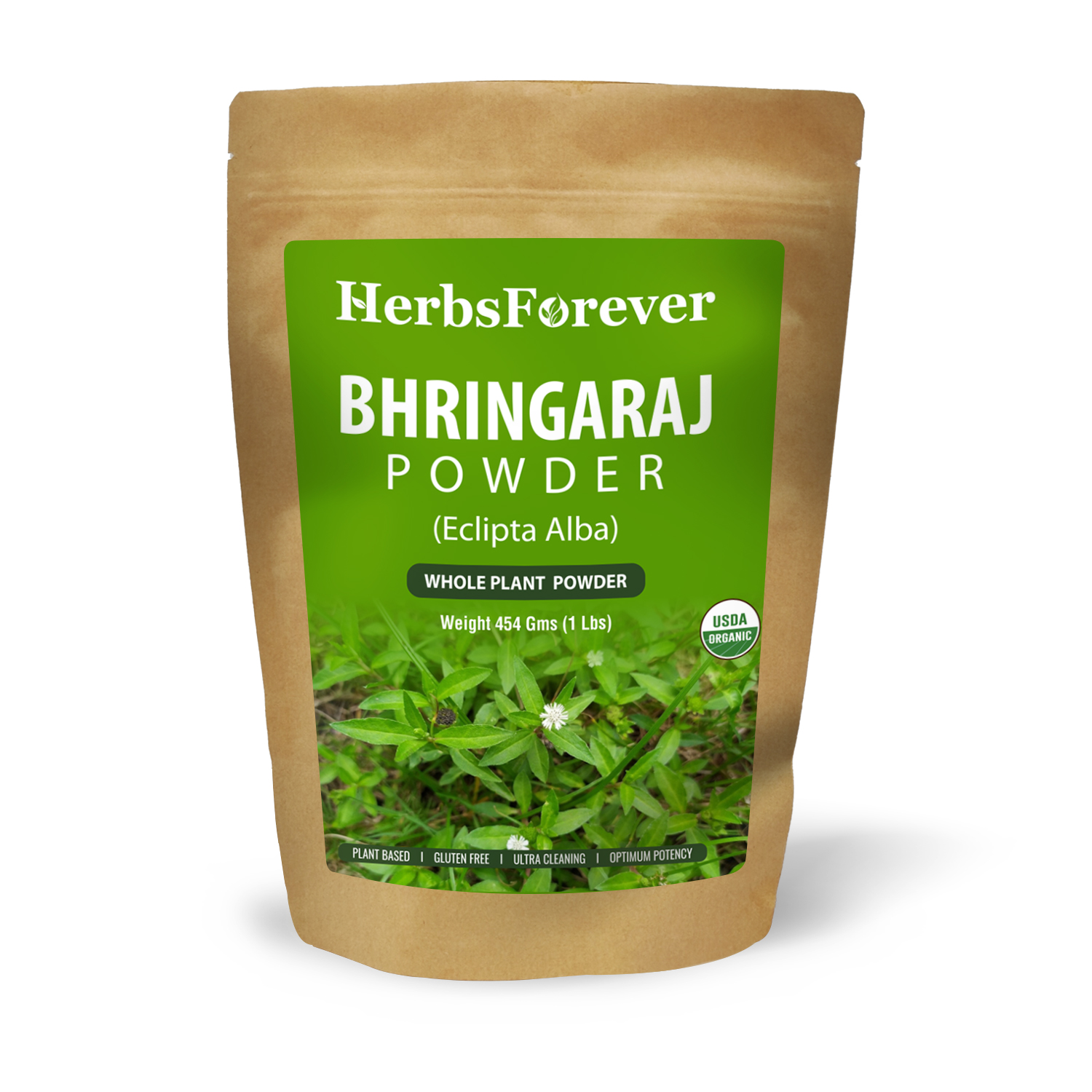 Poudre de Bhringaraj 100% Pure & Naturelle 100g Lotus Bio